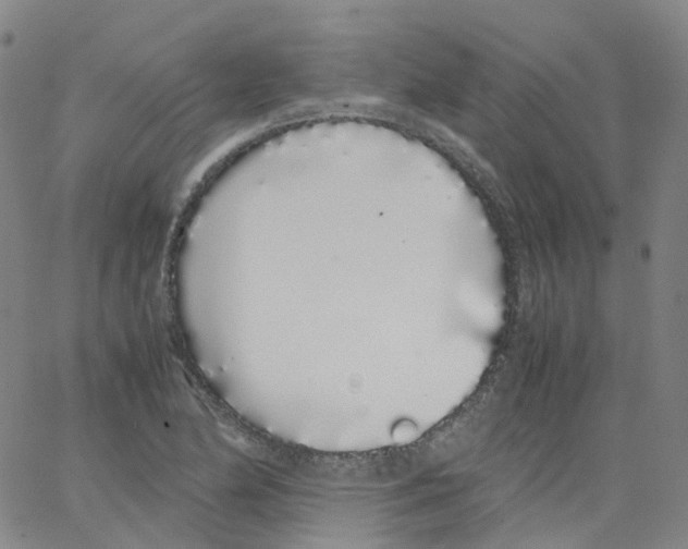 X0000062901174200602101759