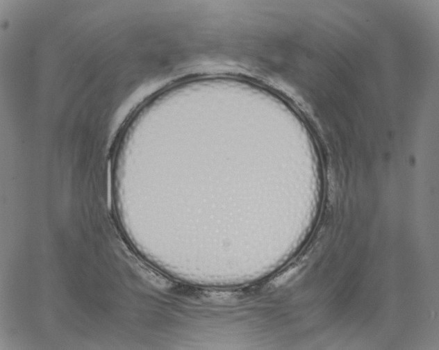 X0000062901175200602101759