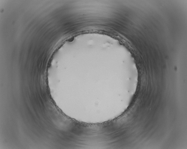 X0000062901178200602101759