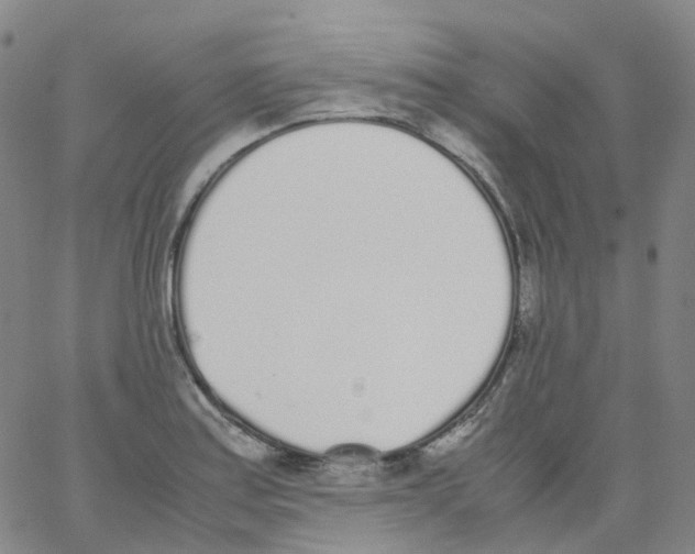 X0000062901179200602101759