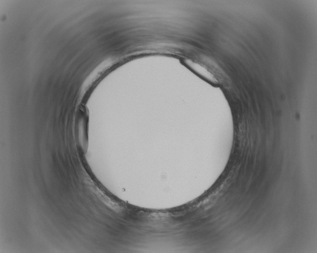 X0000062901180200602101759