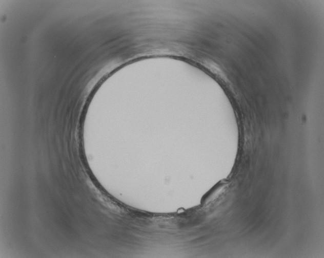 X0000062901181200602101759