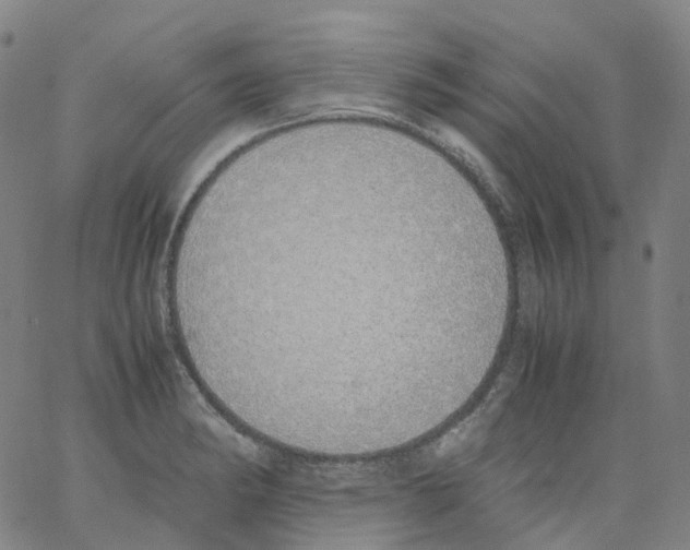 X0000062901182200602101759