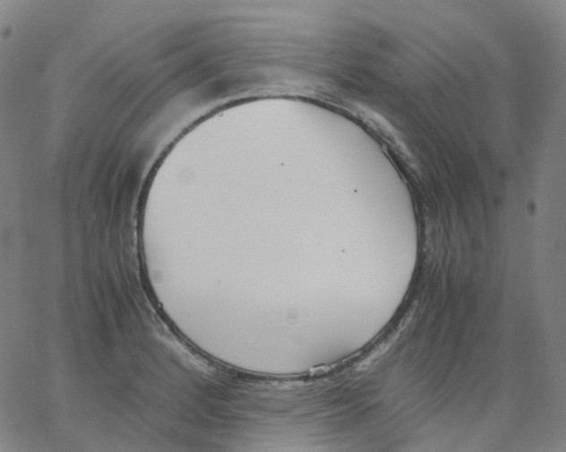 X0000062901184200602101759