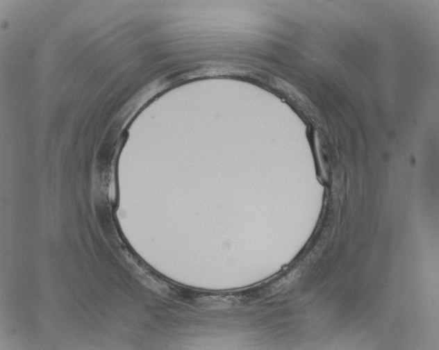 X0000062901185200602101759