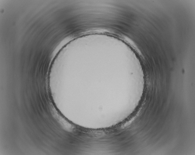 X0000062901186200602101759