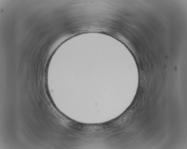 X0000062901187200602101759