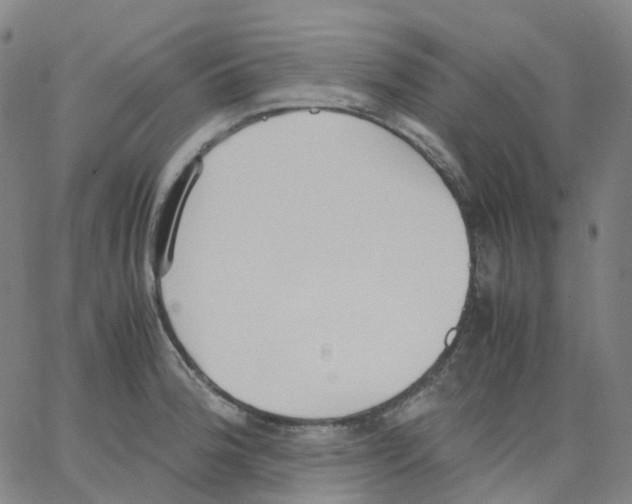 X0000062901188200602101759