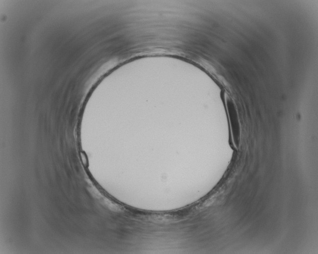 X0000062901189200602101759