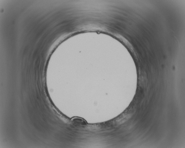 X0000062901191200602101759