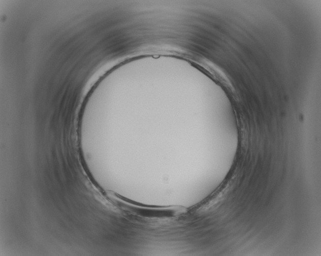 X0000062901192200602101759