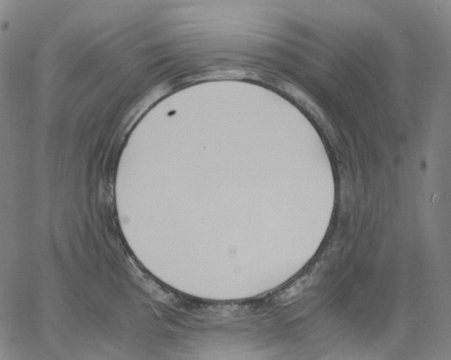 X0000062901193200602101759