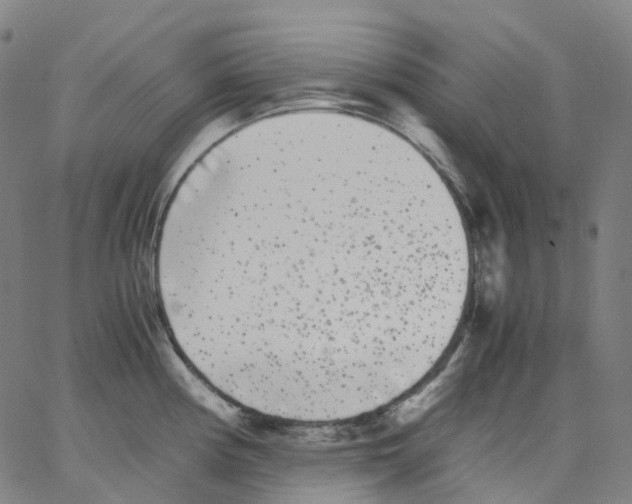 X0000062901194200602101759