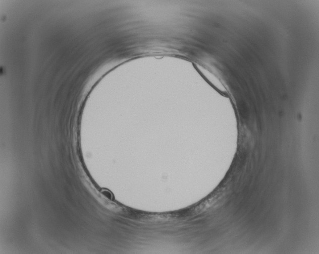 X0000062901195200602101759