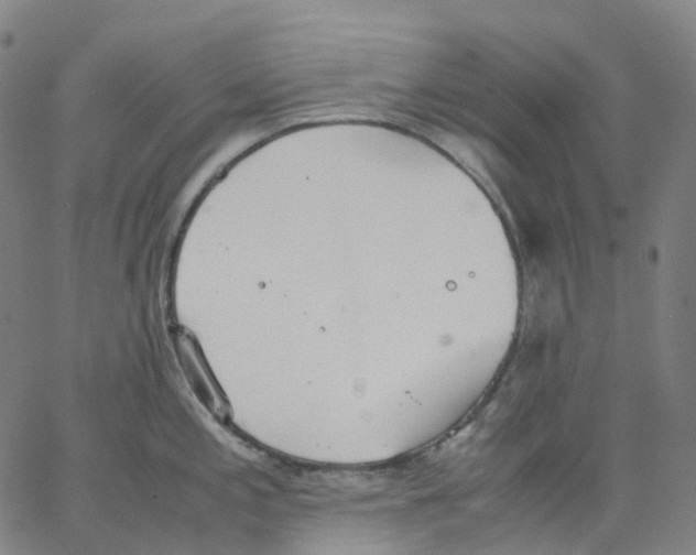 X0000062901197200602101759