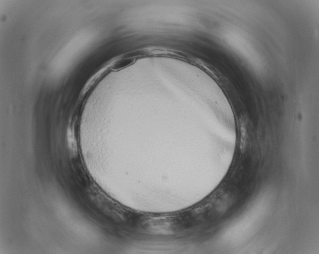 X0000062901198200602101759