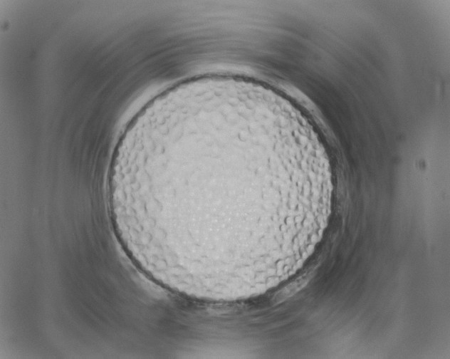 X0000062901199200602101759