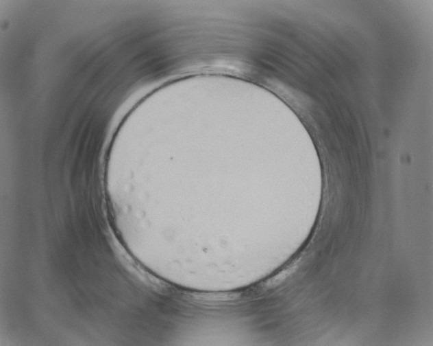 X0000062901200200602101759