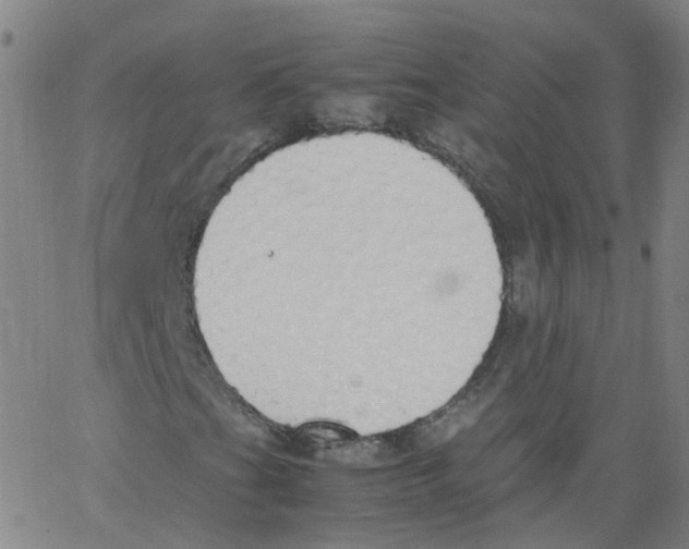 X0000062901201200602101758