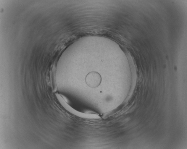 X0000062901202200602101758