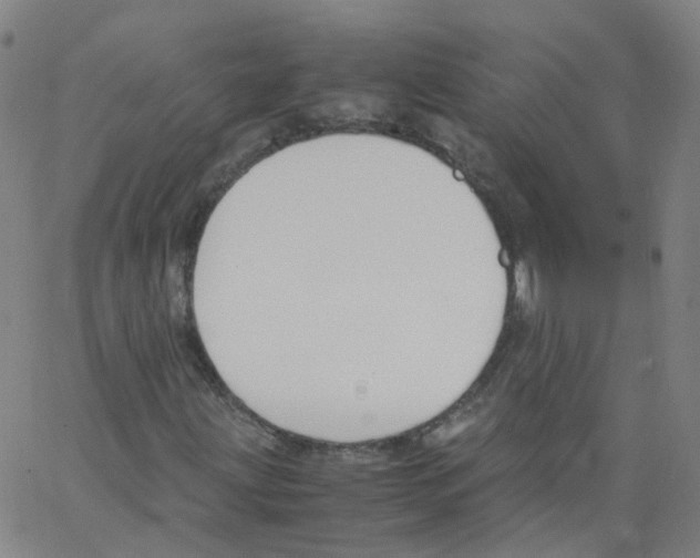 X0000062901203200602101758