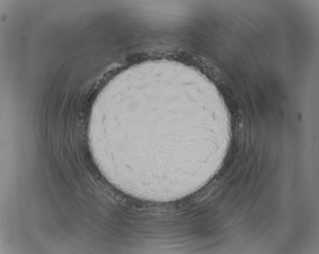 X0000062901204200602101758