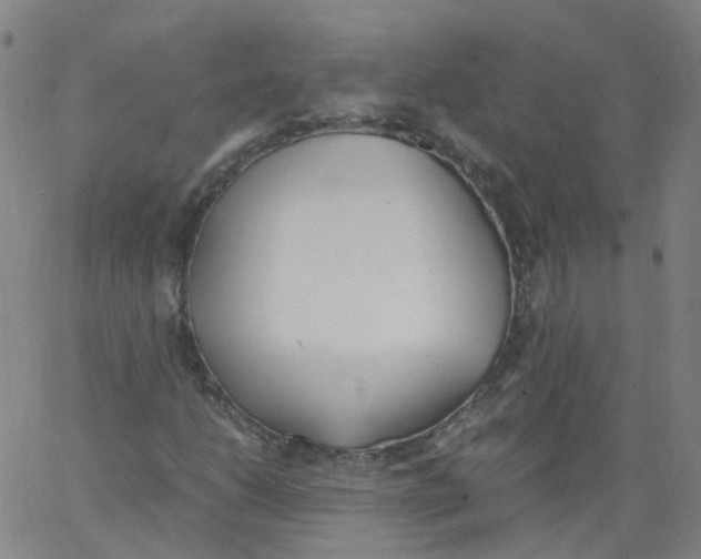 X0000062901206200602101758