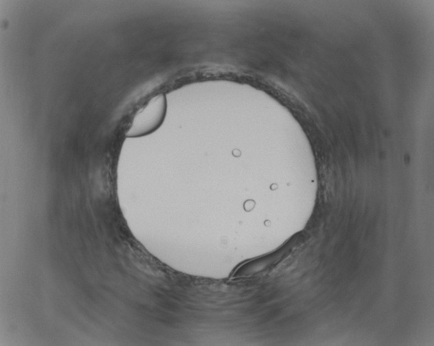 X0000062901207200602101758