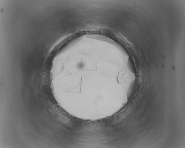 X0000062901208200602101758