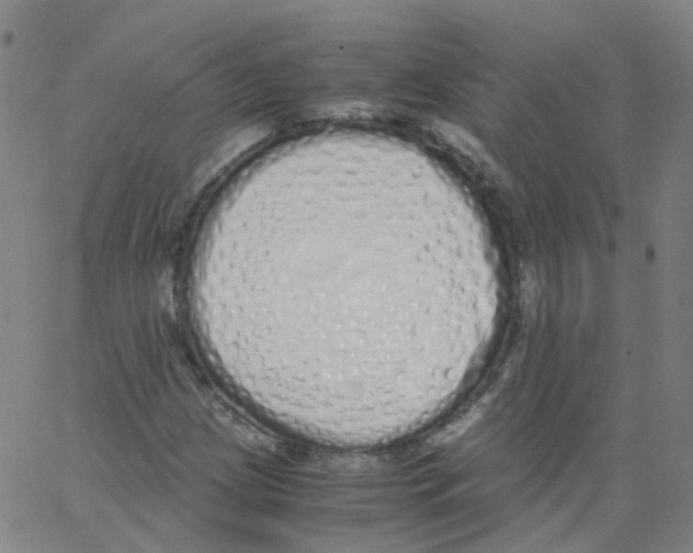 X0000062901209200602101758