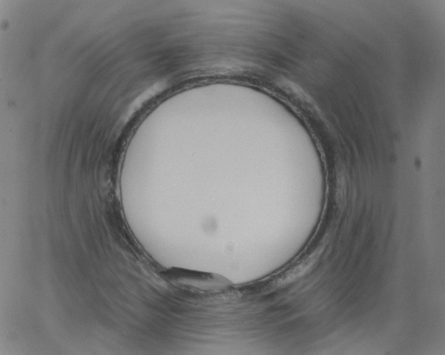 X0000062901210200602101758