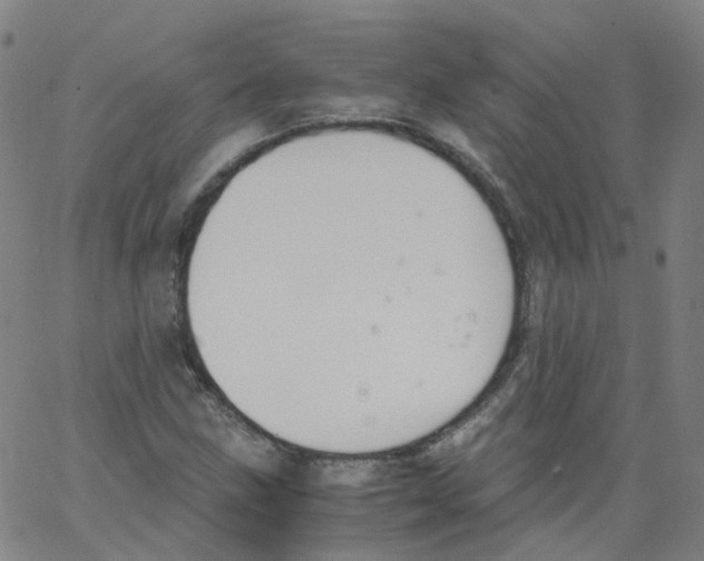 X0000062901211200602101758