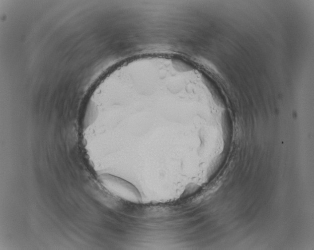 X0000062901212200602101758