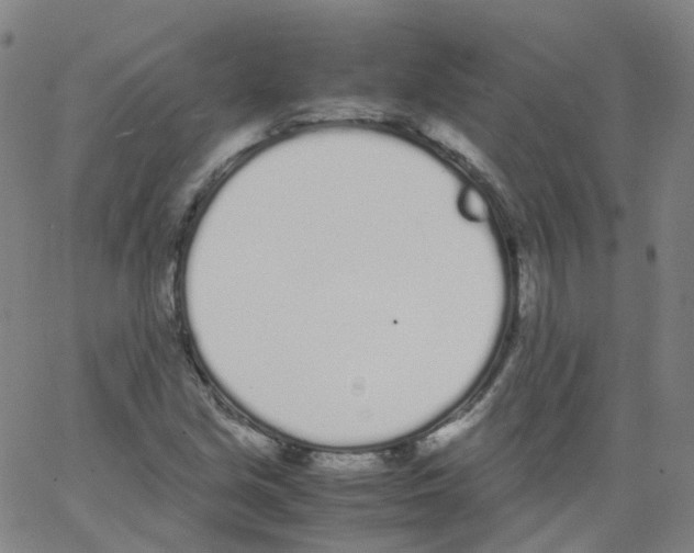 X0000062901213200602101758