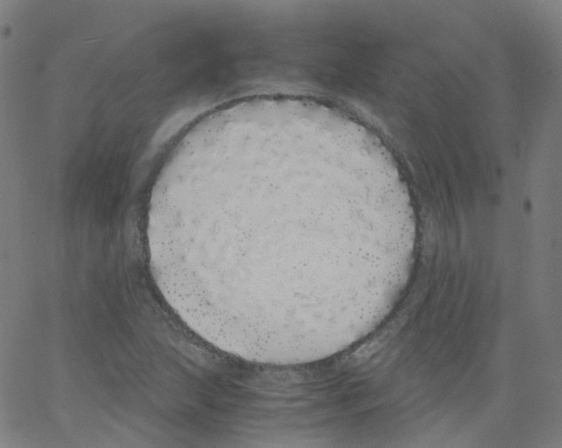 X0000062901215200602101758