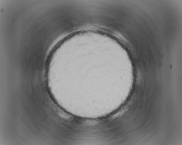 X0000062901216200602101758