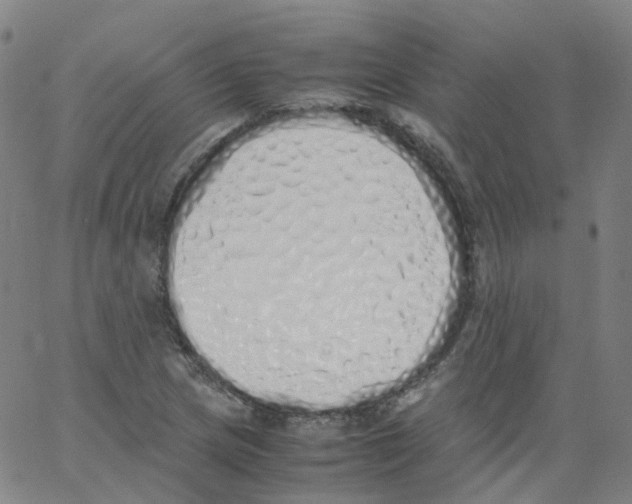 X0000062901217200602101758