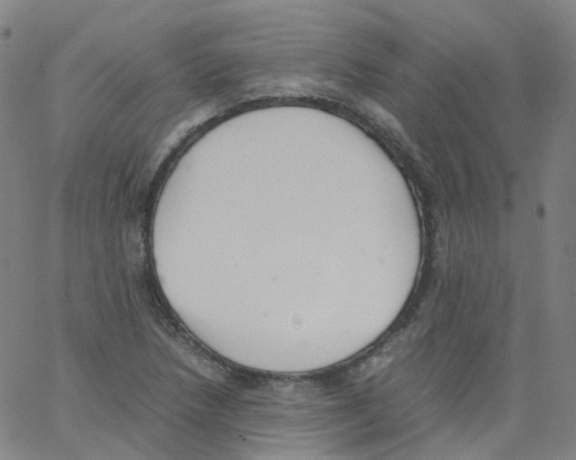 X0000062901218200602101758