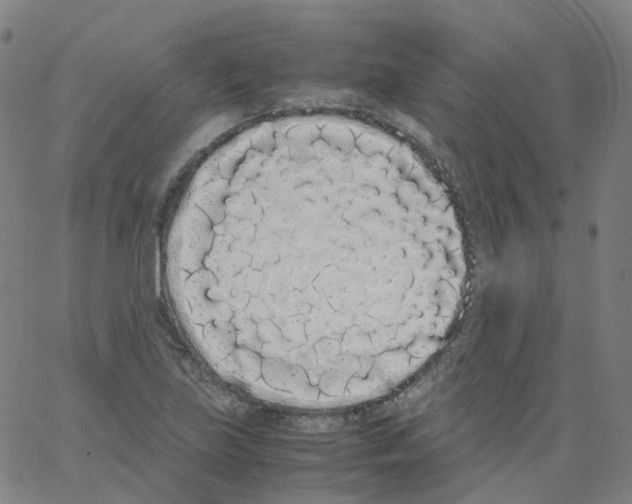 X0000062901219200602101758