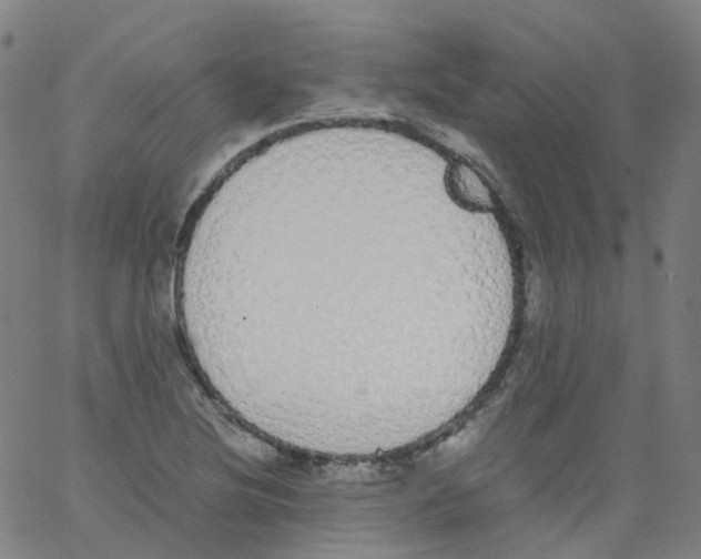 X0000062901220200602101758