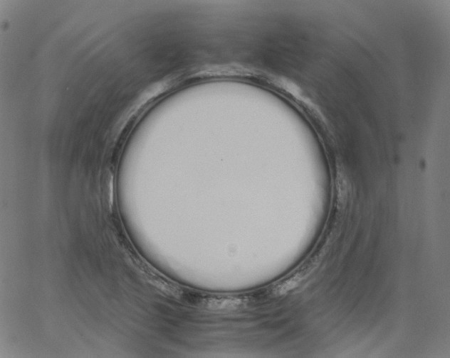 X0000062901221200602101758