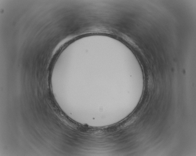 X0000062901222200602101758