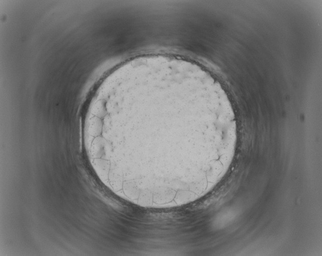 X0000062901223200602101758