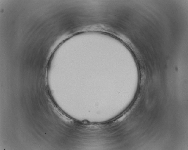 X0000062901224200602101758