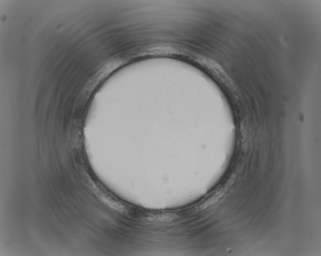 X0000062901225200602101758