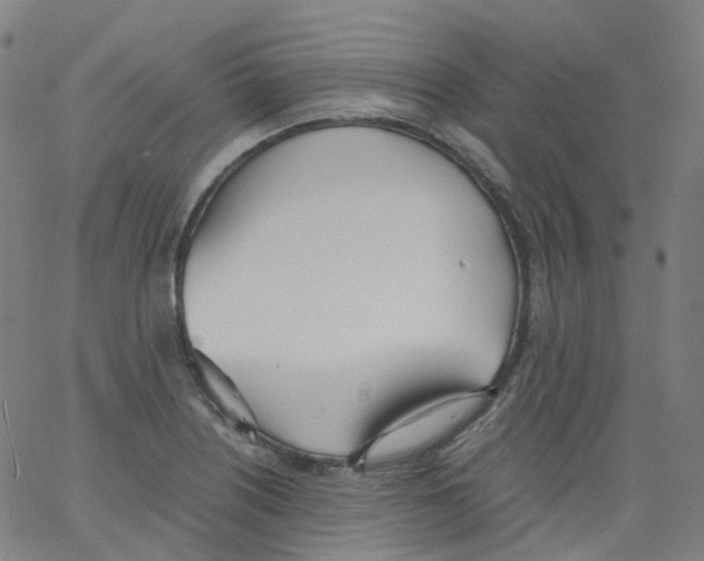 X0000062901226200602101758