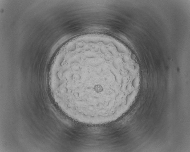 X0000062901227200602101758