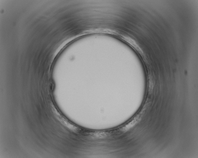 X0000062901228200602101758