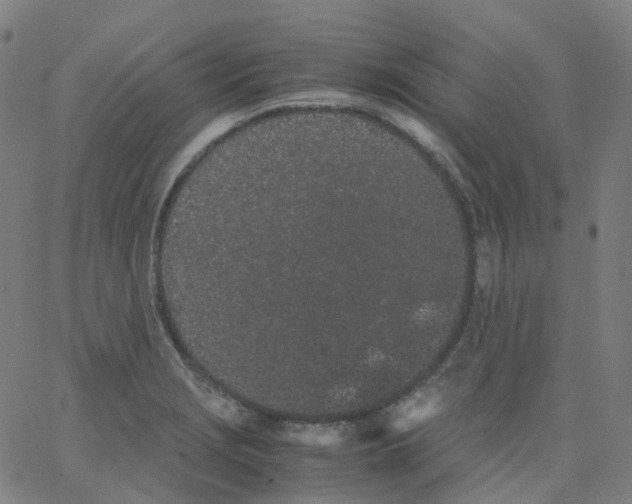 X0000062901229200602101758