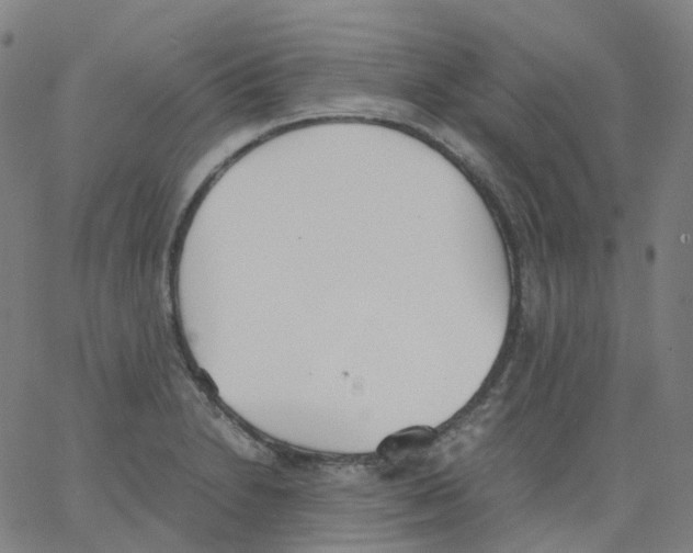 X0000062901230200602101758